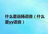 什么是遠(yuǎn)揚(yáng)語音（什么是yy語音）