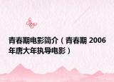 青春期電影簡(jiǎn)介（青春期 2006年唐大年執(zhí)導(dǎo)電影）