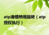 atp瀹樻柟緗戠珯（atp 授權(quán)執(zhí)行）