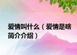 愛情叫什么（愛情是啥簡(jiǎn)介介紹）