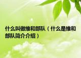 什么叫做維和部隊(duì)（什么是維和部隊(duì)簡介介紹）