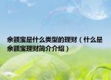 余額寶是什么類型的理財(cái)（什么是余額寶理財(cái)簡(jiǎn)介介紹）