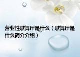 營業(yè)性歌舞廳是什么（歌舞廳是什么簡介介紹）