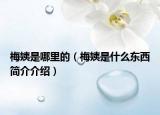 梅姨是哪里的（梅姨是什么東西簡介介紹）