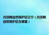 丹頂鶴自然保護區(qū)遼寧（丹頂鶴自然保護區(qū)在哪里）