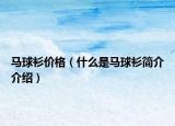 馬球衫價格（什么是馬球衫簡介介紹）