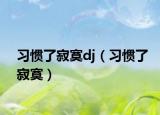 習(xí)慣了寂寞dj（習(xí)慣了寂寞）