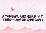 少年不識愁滋味, 為賦新詞強說愁（少年不識愁滋味為賦新詞強說愁是什么意思）