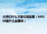 大師們什么才是垃圾股票（600108是什么股票呀）