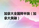 加拿大全國(guó)降半旗（加拿大臭鼬）