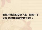 怎樣才使麻雀安靜下來（提問一下大家:怎樣使麻雀安靜下來?）