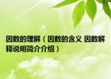 因數(shù)的理解（因數(shù)的含義 因數(shù)解釋說(shuō)明簡(jiǎn)介介紹）