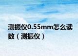 測振儀0.55mm怎么讀數(shù)（測振儀）