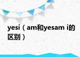 yesi（am和yesam i的區(qū)別）