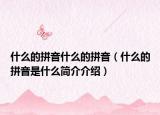 什么的拼音什么的拼音（什么的拼音是什么簡(jiǎn)介介紹）