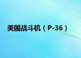 美國(guó)戰(zhàn)斗機(jī)（P-36）