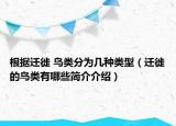 根據(jù)遷徙 鳥(niǎo)類分為幾種類型（遷徙的鳥(niǎo)類有哪些簡(jiǎn)介介紹）