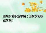 山東水利職業(yè)學(xué)院（山東水利職業(yè)學(xué)院）
