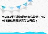vivos1手機(jī)翻轉(zhuǎn)靜音怎么設(shè)置（vivoS1捂住屏幕靜音怎么開啟）