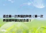 適合第一次養(yǎng)貓的種類（第一次養(yǎng)貓哪種貓比較合適）