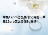 蘋果12pro怎么關閉5g網(wǎng)絡（蘋果12pro怎么關閉5g網(wǎng)絡）