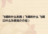 飛蛾吃什么東西（飛蛾吃什么 飛蛾以什么為食簡(jiǎn)介介紹）