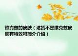 維克茲的皮膚（這貨不是維克茲皮膚有特效嗎簡(jiǎn)介介紹）