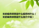 處的偏旁部首是什么偏旁叫什么（處的偏旁部首是什么簡(jiǎn)介介紹）