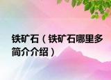 鐵礦石（鐵礦石哪里多簡(jiǎn)介介紹）