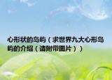 心形狀的島嶼（求世界九大心形島嶼的介紹（請附帶圖片））