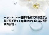 opporeno4se相機專業(yè)模式調數(shù)值怎么調拍照好看（opporeno4se怎么設置相機九宮格）