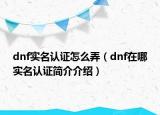 dnf實名認證怎么弄（dnf在哪實名認證簡介介紹）