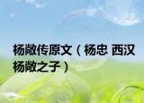 楊敞傳原文（楊忠 西漢楊敞之子）