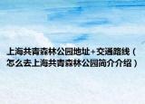 上海共青森林公園地址+交通路線（怎么去上海共青森林公園簡介介紹）