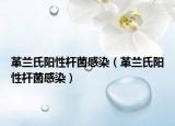 革蘭氏陽(yáng)性桿菌感染（革蘭氏陽(yáng)性桿菌感染）