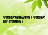 蘋果照片屬性在哪看（蘋果照片屬性在哪里看）