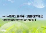 wow離開公會命令（魔獸世界退出公會的命令是什么簡介介紹）