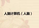 人腦計(jì)算機(jī)（人腦）