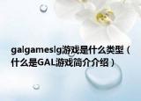 galgameslg游戲是什么類型（什么是GAL游戲簡(jiǎn)介介紹）