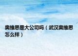 奧維思是大公司嗎（武漢奧維思怎么樣）