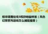 椋庤壊騫繪兂5欖斿吔璇辨崟（風色幻想系列游戲怎么捕捉魔獸）