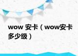 wow 安卡（wow安卡多少級）