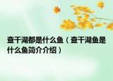 查干湖都是什么魚（查干湖魚是什么魚簡介介紹）