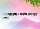 什么叫做攀娘（攀娘啥意思簡介介紹）