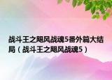 戰(zhàn)斗王之颶風(fēng)戰(zhàn)魂5番外篇大結(jié)局（戰(zhàn)斗王之颶風(fēng)戰(zhàn)魂5）