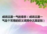 成語沆瀣一氣的意思（成語沆瀣一氣是個(gè)常用的貶義詞其中沆瀣是指）