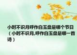 小時(shí)不識(shí)月呼作白玉盤是哪個(gè)節(jié)日（小時(shí)不識(shí)月,呼作白玉盤是哪一首詩）