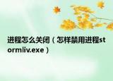 進(jìn)程怎么關(guān)閉（怎樣禁用進(jìn)程stormliv.exe）