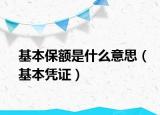 基本保額是什么意思（基本憑證）