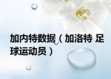 加內(nèi)特?cái)?shù)據(jù)（加洛特 足球運(yùn)動(dòng)員）